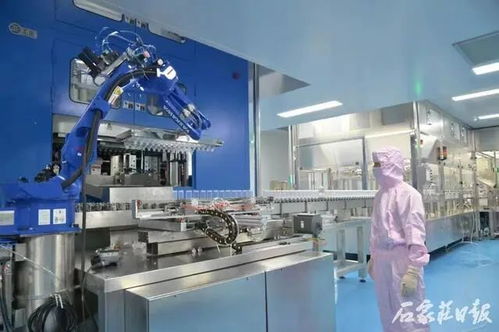 數量全省第一 石市新增31家省制造業單項冠軍